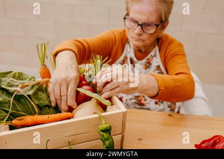 Personne âgée organisant une variété de légumes fraîchement récoltés dans une boîte en bois sur une table Banque D'Images