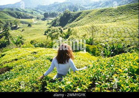 Vue arrière d'une femme méconnaissable plonge dans la beauté des vastes plantations de thé dans la campagne vallonnée de Malaisie, avec le soleil brille sur le gr Banque D'Images
