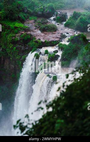 Une vue fascinante sur les puissantes chutes d'Iguazu comme cascades d'eau entourées par les forêts verdoyantes du nord de l'Argentine. Banque D'Images