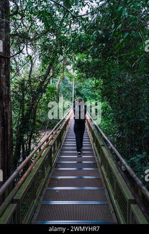 Vue arrière de touriste féminine méconnaissable capture le moment avec un téléphone portable tout en marchant sur une passerelle métallique entourée par la végétation dense de Banque D'Images