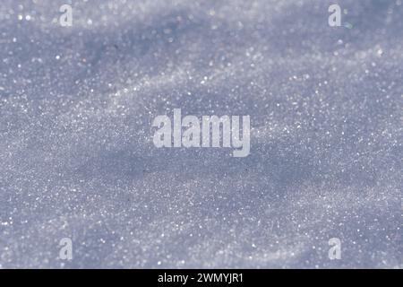 Texture de neige en gros plan, présentant des motifs cristallins complexes, parfait pour les motifs hivernaux et les concepts saisonniers Banque D'Images