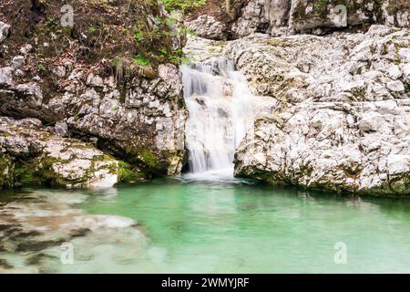 Petite cascade dans la forêt profonde en Slovénie près de Bled et Ukanc Banque D'Images