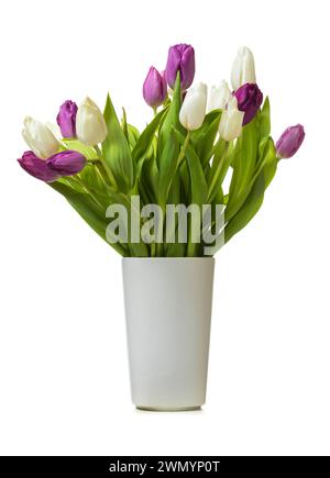 Bouquet de tulipes blanches et violettes dans un vase blanc isolé sur fond blanc Banque D'Images