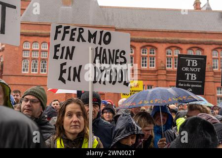 Cardiff, pays de Galles. ROYAUME-UNI. 28 février 2024. Les fermiers gallois se rassemblent devant le Senedd dans la baie de Cardiff pour protester contre les changements prévus des subventions agricoles, Cardiff, pays de Galles. ROYAUME-UNI. Crédit : Haydn Denman/Alamy Live News. Banque D'Images