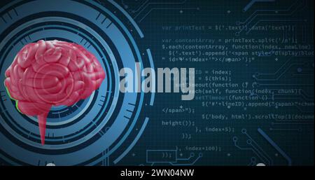 Image du cerveau humain et traitement des données Banque D'Images
