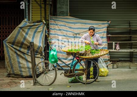 Une femme vietnamienne prépare ses marchandises pour vendre des fruits frais de sa bicyclette à Hanoi, au Vietnam Banque D'Images