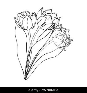 Tulipes à fleurs vectorielles. Magnifique silhouette motif fleurs printanières. Feuilles et floraison dessinées à la main. Contour noir élégant botanique Illustration de Vecteur