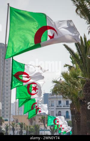 Front de mer d'Oran drapeaux algériens Algérie Banque D'Images