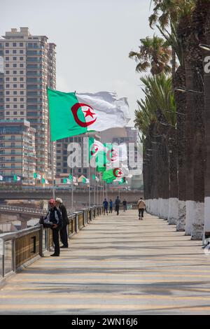 Front de mer d'Oran drapeaux algériens Algérie Banque D'Images