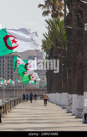 Front de mer d'Oran drapeaux algériens Algérie Banque D'Images