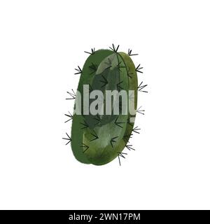 Cactus. Plantes pour la maison. Floriculture. Flore du désert. Illustration d'aquarelle isolée sur fond blanc. Clipart Banque D'Images