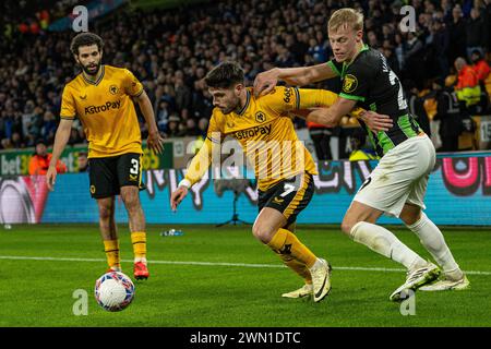 28 février 2024 ; stade Molineux, Wolverhampton, West Midlands, Angleterre; FA Cup Fifth Round Football, Wolverhampton Wanderers contre Brighton et Hove Albion ; Pedro Neto de Wolves cherche à battre Jan Paul van Hecke de Brighton Banque D'Images