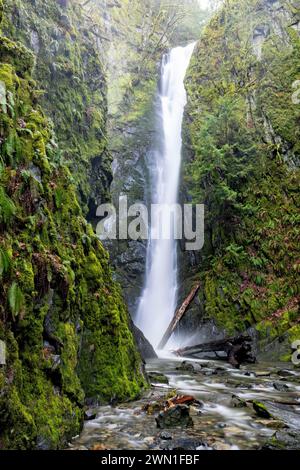 Chutes du Niagara en hiver - Parc provincial Goldstream près de Victoria, île de Vancouver, Colombie-Britannique, Canada Banque D'Images