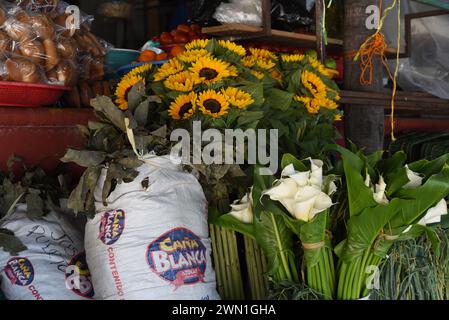 Fleurs à vendre sur le marché Mercado Benito Juarez à Puerto Escondido, Oaxaca, Mexique Banque D'Images