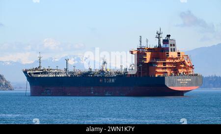 Anacortes, WA, États-Unis - 23 février 2024 ; pétrolier Torm Alexandra à l'ancre dans l'État de Washington Banque D'Images