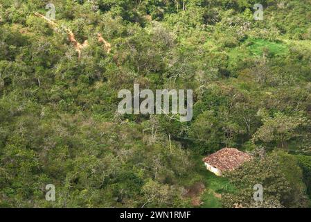 Modeste maison rurale dans une zone boisée des Andes colombiennes. Végétation d'arbres verts et d'arbustes vus d'en haut en composition avec espace de copie. Banque D'Images