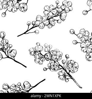 Sakura floraison des branches. Dessin à l'encre de contour noir et blanc. Illustration vectorielle. Illustration de Vecteur