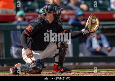 Patrick Bailey (14 ans), catcheur des Giants de San Francisco, se réchauffe lors d'un match de pré-saison de la MLB contre les Mariners de Seattle, mardi 27 février 2024, à Scottsdale, AZ. Seattle Mariners et San Francisco Giants ont égalé 10-10 (Marcus Wilkins/image of Sport) Banque D'Images