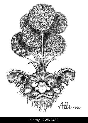 Illustrations gravées dessinées à la main avec drôle de démon ou visage de gnome comme racine de belle fleur de printemps d'Allium isolé sur blanc, jardin fantastique et mon Banque D'Images