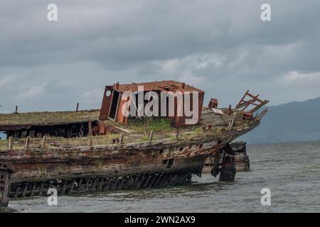 L'ancienne épave de Whakatiiwai sur la côte Seabird sur la rive ouest du Firth of Thames dans le district de Hauraki, Nouvelle-Zélande. Le HMNZ Hinau. Banque D'Images