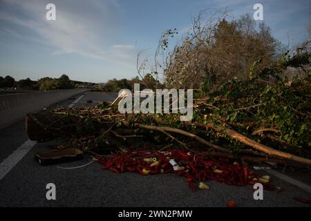 Février, 28, 2024 Pontos, Gérone, Espagne pol Pontos, Gérone, Catalogne, Espagne-blocus de l'AP-7 par les agriculteurs français et catalans. Reste sur la coupe de la route N2 et de l'autoroute AP-7 à Pont-s, près de la frontière entre la France et l'Espagne. Les agriculteurs qui bloquent ces deux routes depuis plus de 24 heures ont l’intention de garder la route fermée jusqu’à ce que le conseiller les rencontre et que le directeur de l’Agence catalane de l’eau démissionne. Aujourd'hui, ils ont également été rejoints par des agriculteurs du sud de la France, de la région de Perpignan, appartenant au syndicat des agriculteurs "Confdration paysanne", qui sont descendus Banque D'Images