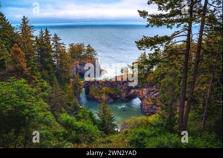 Samuel H. Boardman State Scenic Corridor dans l'Oregon, États-Unis. Banque D'Images