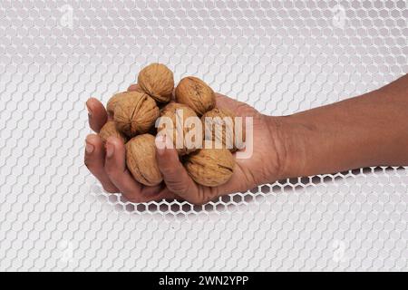 Noix fraîches à la main : un symbole de nutrition naturelle, une image capturant une main présentant une collection de noix fraîches et non craquelées. Banque D'Images