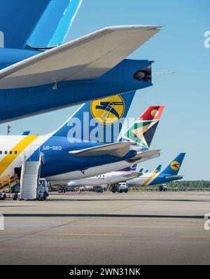 Sections de queue des avions stationnés sur l'aire de trafic de l'aéroport international de Boryspil. Ukraine International Airlines avions et quelques autres, y compris SP-LNF. Banque D'Images