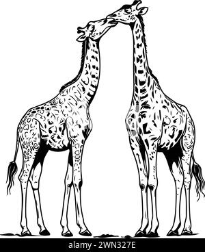 Deux girafes. Illustration vectorielle de deux girafes. Illustration de Vecteur