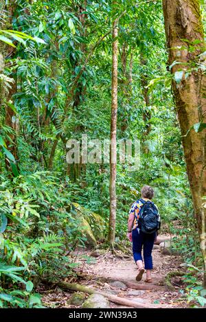Une femme marchant avec un sac à dos à travers la forêt tropicale de Mossman gorge dans le parc national de Daintree dans l'extrême nord du Queensland, en Australie Banque D'Images
