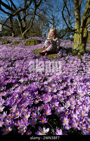 22/02/14 Scarlett Clarke (4) prend un moment pour s’émerveiller devant un tapis de crocus violets, prouvant que le printemps est vraiment arrivé à l’Université de Lei Banque D'Images