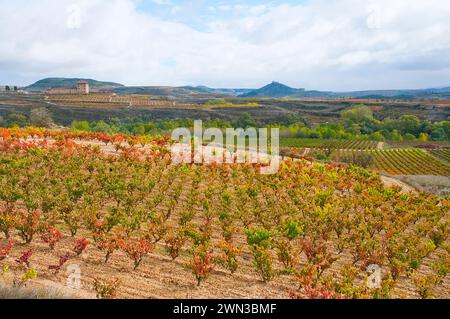 Vignobles en automne. La Sonsierra, la Rioja, Espagne. Banque D'Images