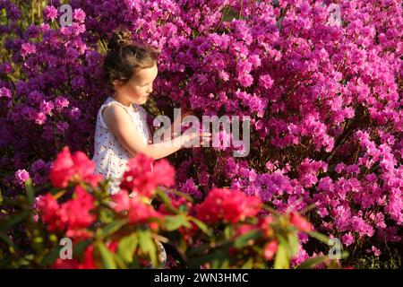 13/03/14 Maggie Welsh, 6 ans, s'émerveille devant les rhododendrons fleurissant plus de deux semaines plus tôt que d'habitude à Lea Gardens près de Matlock, Derbyshire. Tous Banque D'Images