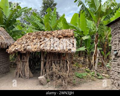 Petite maison faite de bois et de feuilles de banane où vivent les gens réels Banque D'Images