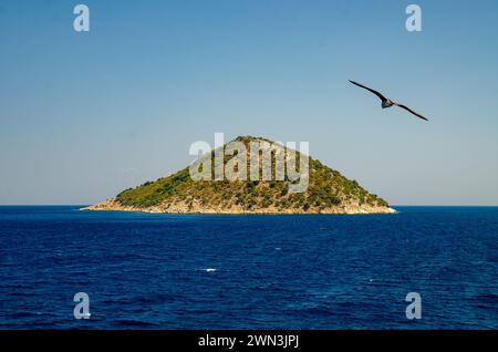 Vue aérienne d'une île entourée d'un océan bleu avec deux mouettes en vol Banque D'Images