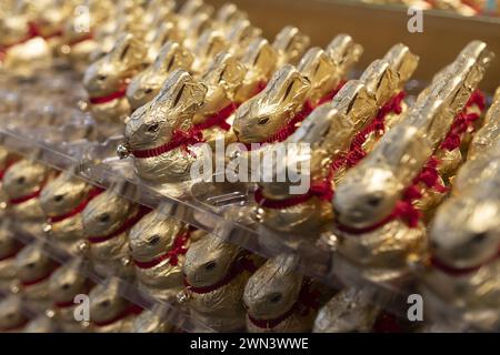 Goldhasen des Schokoladenherstellers Lindt in einem Supermarkt , Berlin, 27.02.2024. Berlin Deutschland *** lapins d'or de la manufacture de chocolat Banque D'Images