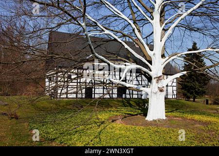 Arbres peints en blanc devant le musée de la ferme, ville de Bochum, près de la maison Kemnade, vallée de la Ruhr, Hattingen, NRW, Rhénanie du Nord-Westphalie, Allemagne, UE Banque D'Images