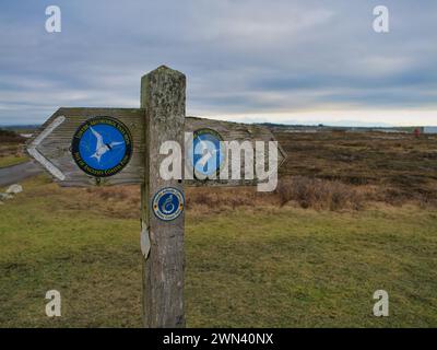 Anglesey, Royaume-Uni - 11 janvier 2024 : un panneau en bois altéré indiquant la voie pour les marcheurs sur le Wales Coast Path sur l'île Anglesey dans le nord du pays de Galles Banque D'Images