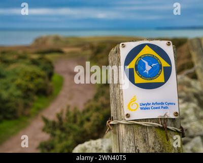Anglesey, Royaume-Uni - 11 janvier 2024 : un panneau en bois altéré indiquant la voie pour les marcheurs sur le Wales Coast Path sur l'île Anglesey dans le nord du pays de Galles Banque D'Images