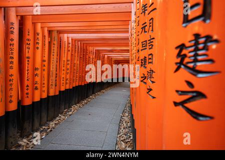 Portes rouges Torii au sanctuaire Fushimi Inari à Kyoto, Japon. Banque D'Images