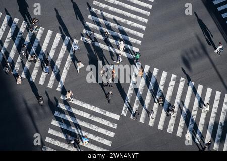 Piétons traversant la rue à une intersection animée à Ginza, un quartier commerçant haut de gamme populaire de Tokyo, au Japon. Banque D'Images