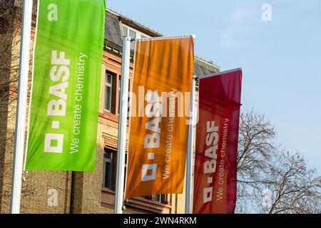 Février 2024 : drapeaux BASF à l'entrée de l'usine principale de Ludwigshafen am Rhein Banque D'Images