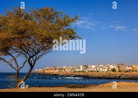 Paysage des bâtiments blancs de Praia la capitale de Cabo Verde à travers une petite baie avec mer calme et arbre au premier plan Banque D'Images