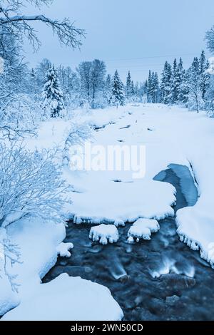 Un ruisseau serpente à travers un paysage hivernal recouvert de neige, entouré d'arbres imposants et de parcelles de terre glacée. La scène capture le tranqui Banque D'Images