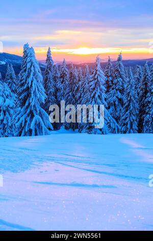 Sonnenuntergang und Winterlandschaft an der Wossecker Baude oberhalb von Harrachsdorf im Riesengebirge, Tschechien *** coucher de soleil et paysage hivernal Banque D'Images