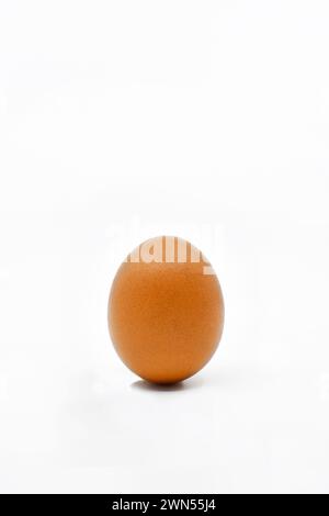 Oeuf brun isolé sur un fond blanc Uni. Copier l'espace. Banque D'Images