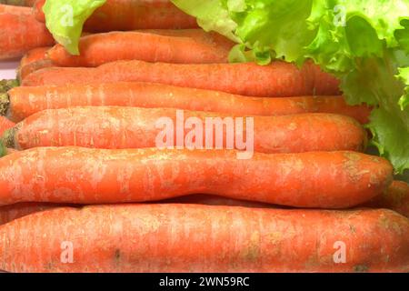 Des carottes rouges fraîches mûres et des feuilles de salade vertes se rapprochent Banque D'Images
