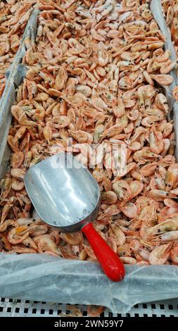 Crevettes bouillies congelées dans un magasin, gros plan. Crevettes à vendre dans un supermarché. Pelle en acier inoxydable pour ramasser des crevettes et des fruits de mer Banque D'Images