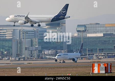 29.02.2024 Frankfurt Flughafen Impressionen am letzten Tag im warmen frühlingshaften milden Februar im Schaltjahr 2024 BEI 11 Grad plus hier Lufthansa Flugzeug Airbus A320-200 im Landeanflug am Streiktag 2 für Auszubildende der Lufthansa Technik und Lufthansa Aviation Training und Lufthansa formation technique Frankfurt main Hessen Deutschland *** 29 02 2024 Frankfurt Airport impressions le dernier jour au chaud printemps-comme doux février dans l'année bissextile 2024 à 11 degrés plus ici Lufthansa Airbus A320 200 à l'atterrissage approche le jour de grève 2 pour les stagiaires de Lufthansa Technik et L. Banque D'Images