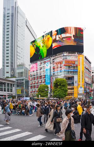 Panneaux d'affichage numériques et piétons utilisant le Shibuya Scramble Crossing, intersection piétonne très fréquentée à Shibuya dans la capitale Tokyo, au Japon Banque D'Images